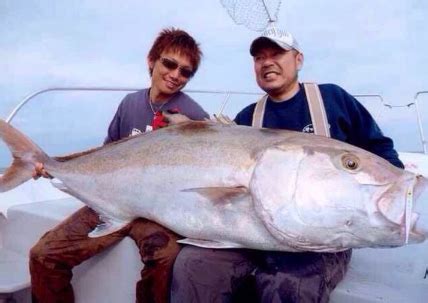 夢到魚生小魚|夢見大魚生小魚